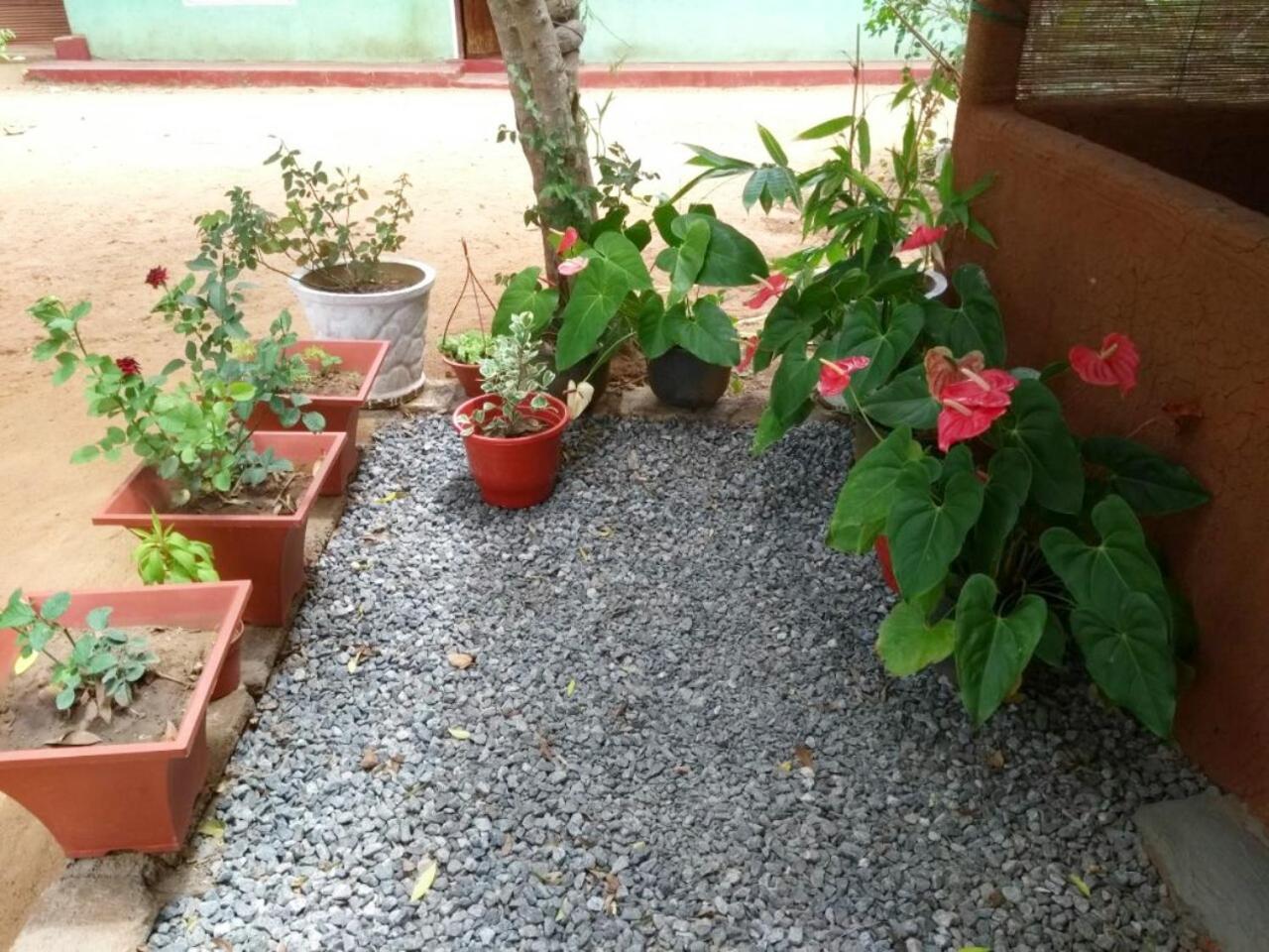 Pawansa Home Stay Habarana Exterior foto